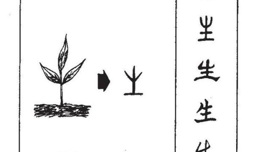 新生儿十几天脸上起红点点-宝宝出生十天了 为什么脸上起红疹网 - 为你提供出生十多天的宝宝脸上长了很多红疹、宝宝出生十天了 为什么脸上起红疹呢